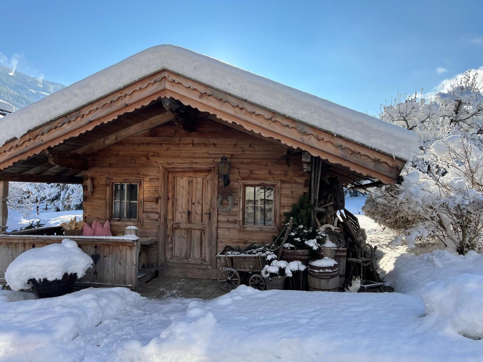 Martlerhof Apartment Aschau Im Zillertal Exterior photo